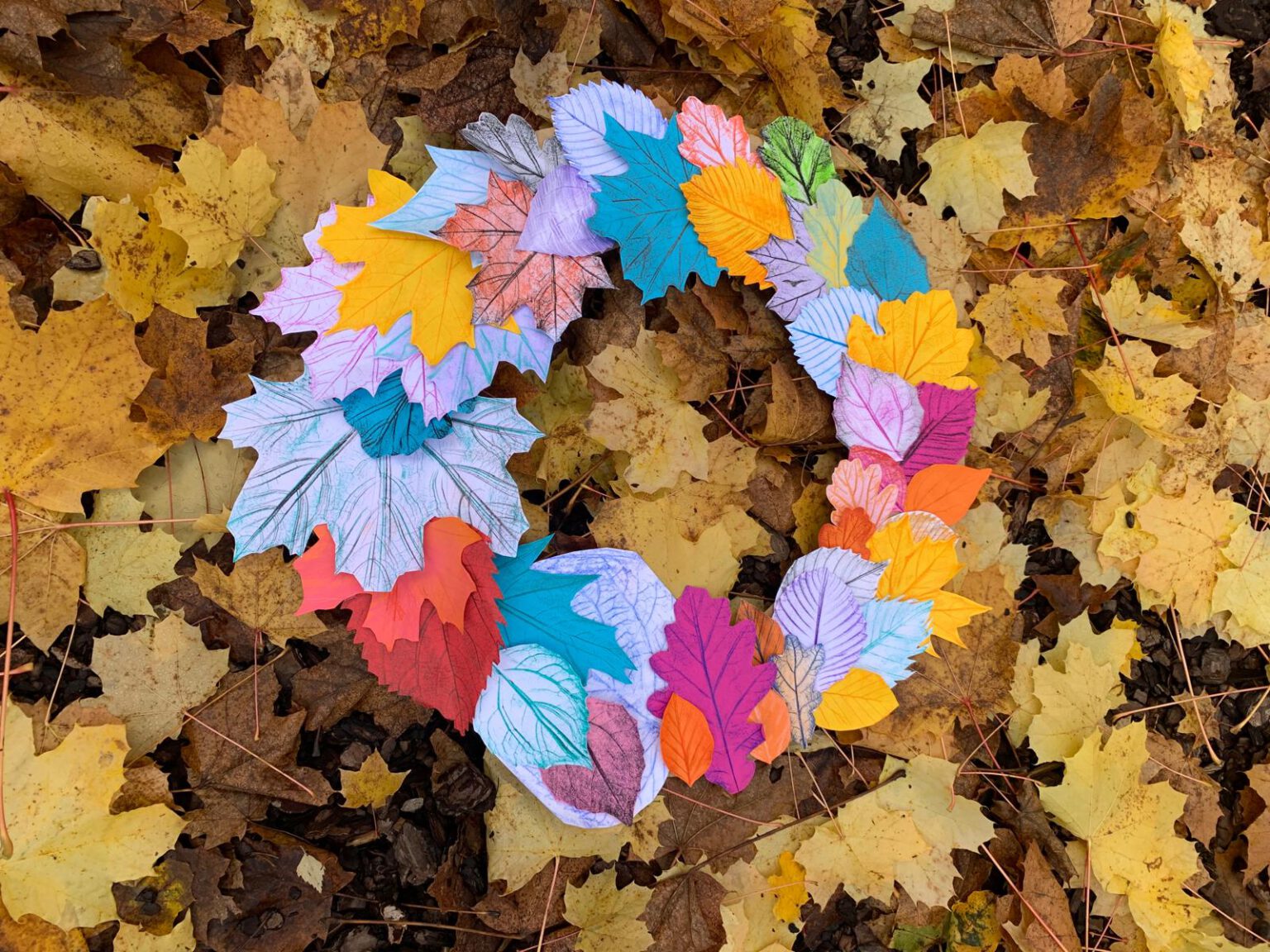 PHOTO-2025-11-05-16-50-18 2 PHOTO-2025-11-05-16-50-18 2