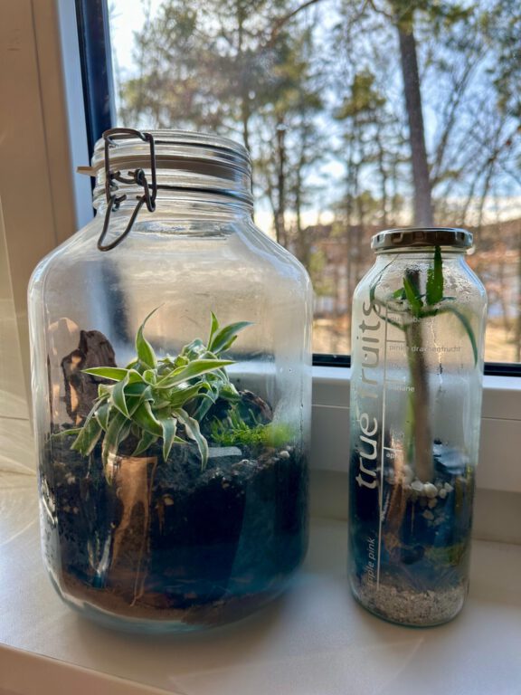 3ae30f3c-f71f-44a9-b7a7-15223533f1f6 3ae30f3c-f71f-44a9-b7a7-15223533f1f6