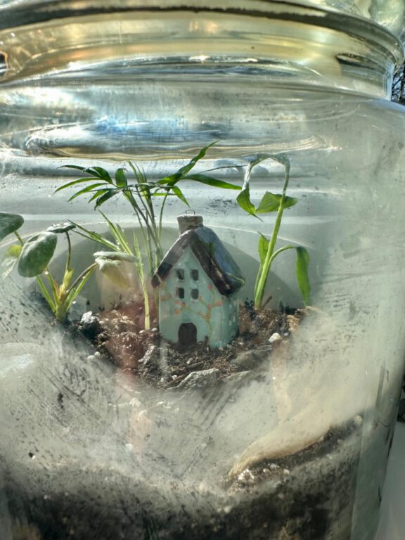 69ae8ac5-9b86-4e38-957b-d2a9cbad65c9 69ae8ac5-9b86-4e38-957b-d2a9cbad65c9