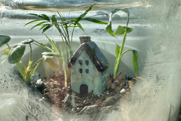 69ae8ac5-9b86-4e38-957b-d2a9cbad65c9