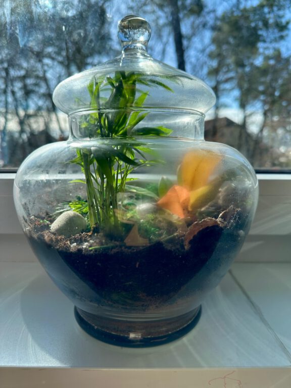 b5107827-0443-4748-9d4a-68f1929ac69a b5107827-0443-4748-9d4a-68f1929ac69a